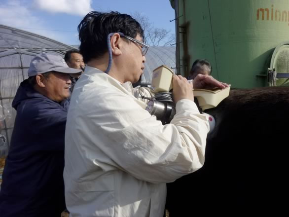 Author testing cattle for cesium